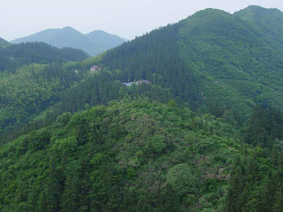 厂区风光