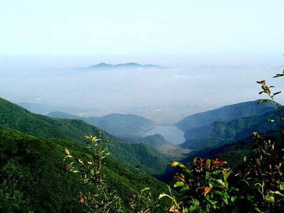 厂区风光