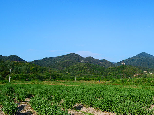 厂区风光